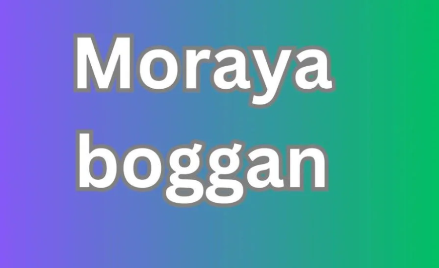 Moraya Boggan Career Beginnings