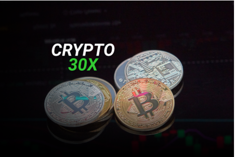 Crypto30x.com ice